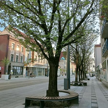 Apartament Bulwar Gorzów Wielkopolski Kültér fotó